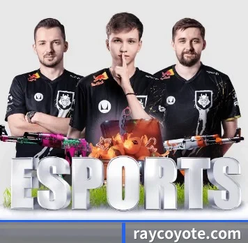 走向世界 - 全球化战略取得重大进展,千万用户共同见证金年会体育成长。